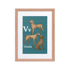 Print Material Red Oak / 12″×16″ V is for Vizsla - Framed Dog Alphabet Print for Kids Room