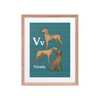 Print Material Red Oak / 16″×20″ V is for Vizsla - Framed Dog Alphabet Print for Kids Room