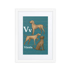 Print Material White / 12″×16″ V is for Vizsla - Framed Dog Alphabet Print for Kids Room