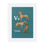 Print Material White / 18″×24″ V is for Vizsla - Framed Dog Alphabet Print for Kids Room