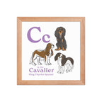 Red Oak / 10″×10″ C is for Cavalier Framed Print