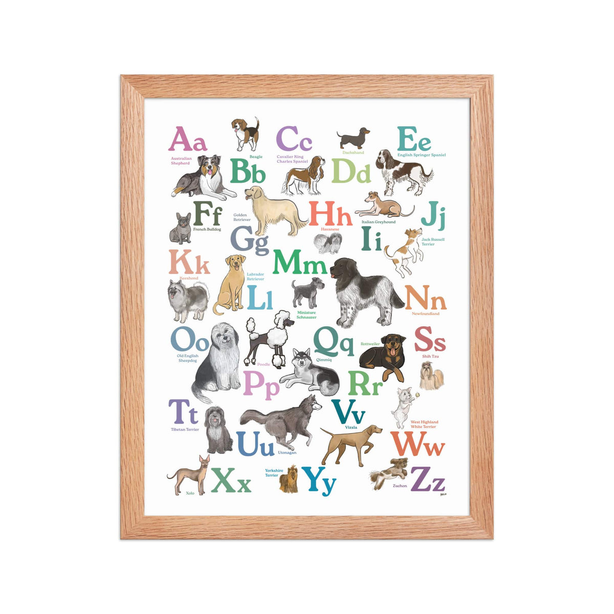 Red Oak / 11″×14″ Dog Breed ABCs Framed Art Print