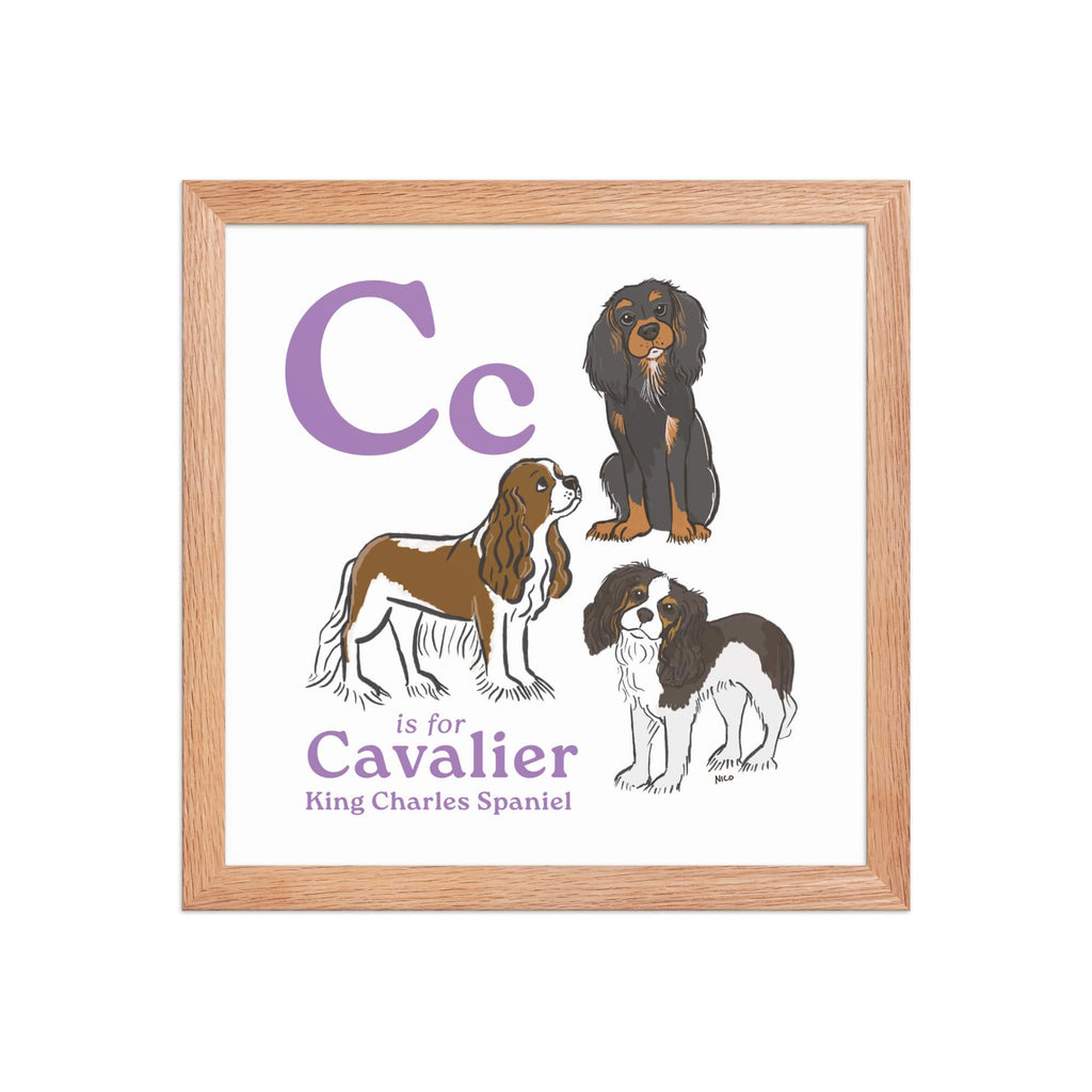 Red Oak / 12″×12″ C is for Cavalier Framed Print