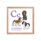 Red Oak / 12″×12″ C is for Cavalier Framed Print