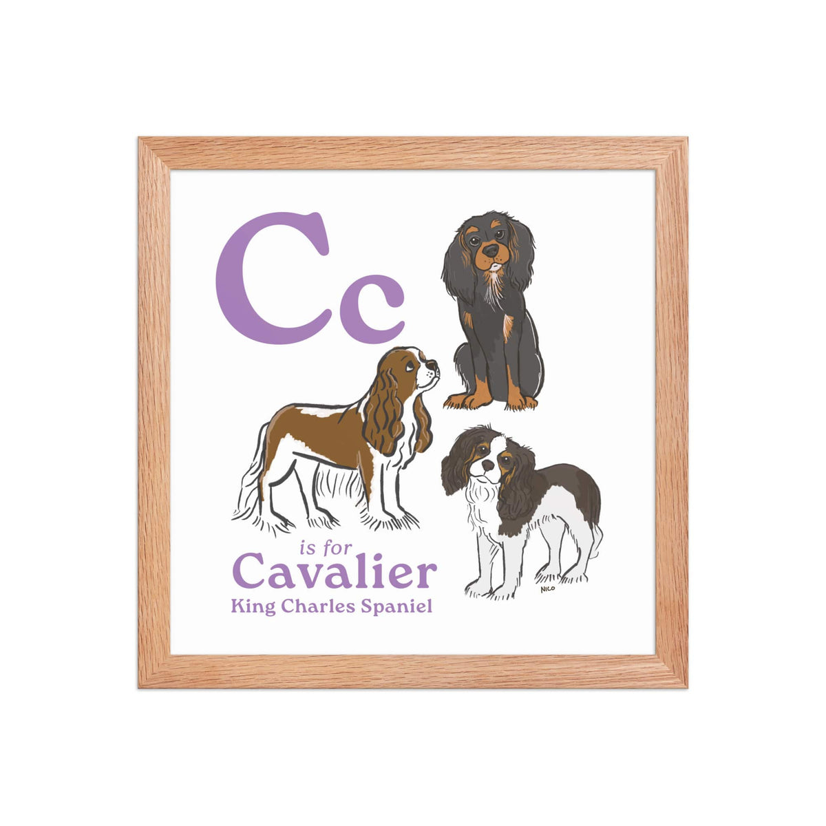 Red Oak / 12″×12″ C is for Cavalier Framed Print