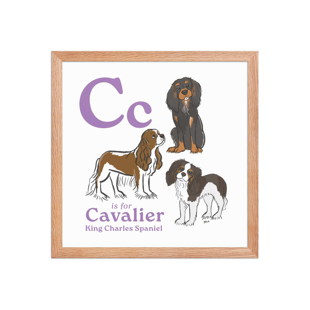 Red Oak / 14″×14″ C is for Cavalier Framed Print