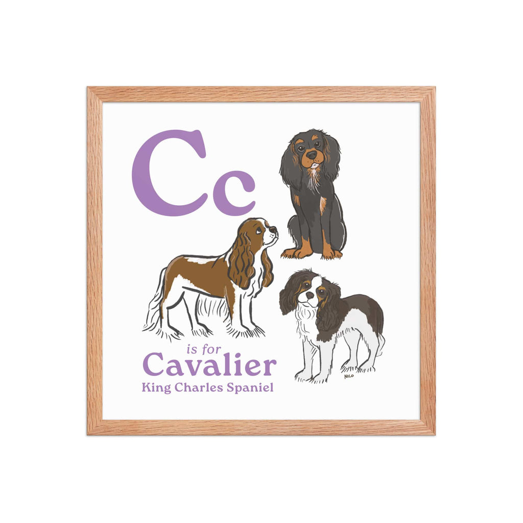 Red Oak / 16″×16″ C is for Cavalier Framed Print