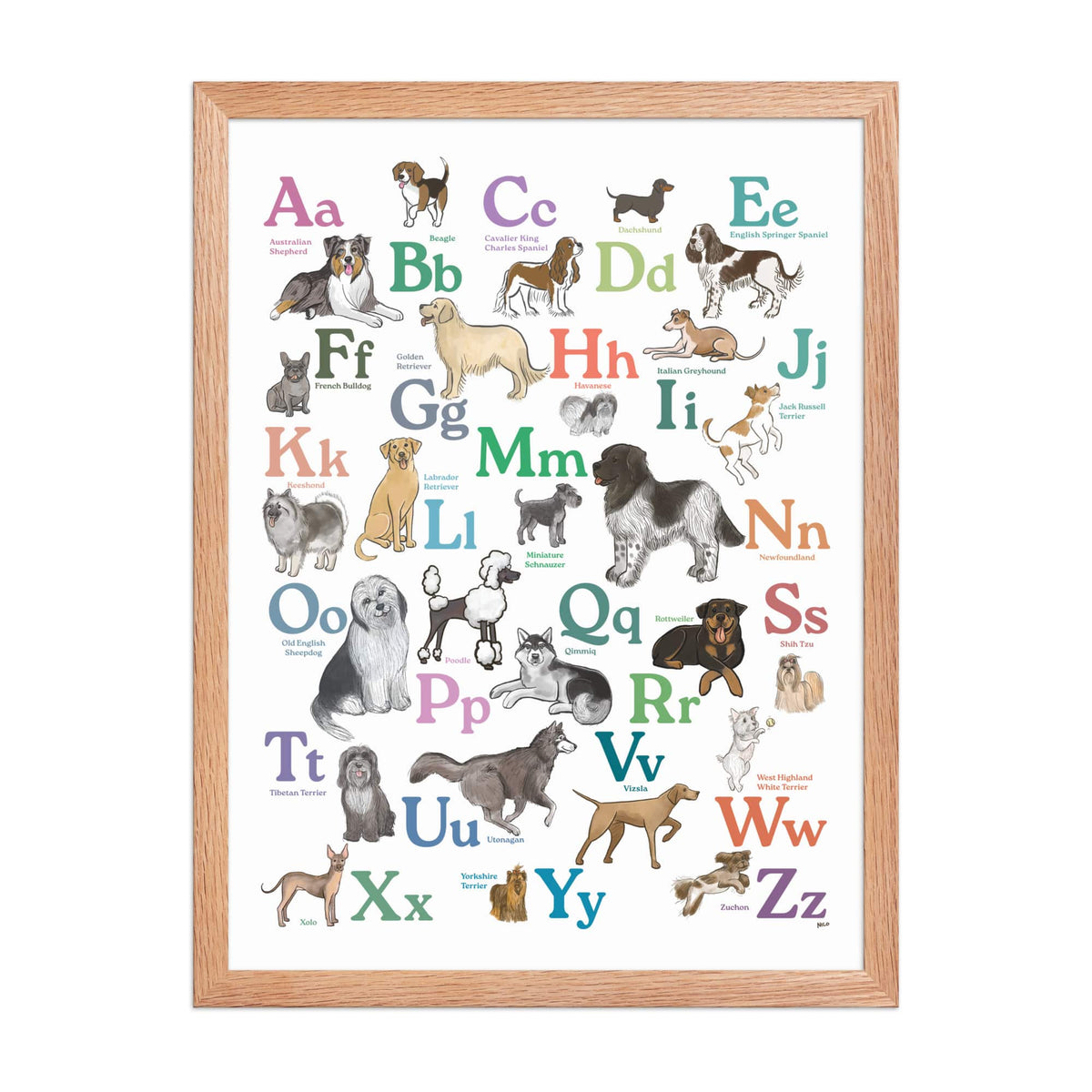 Red Oak / 18″×24″ Dog Breed ABCs Framed Art Print