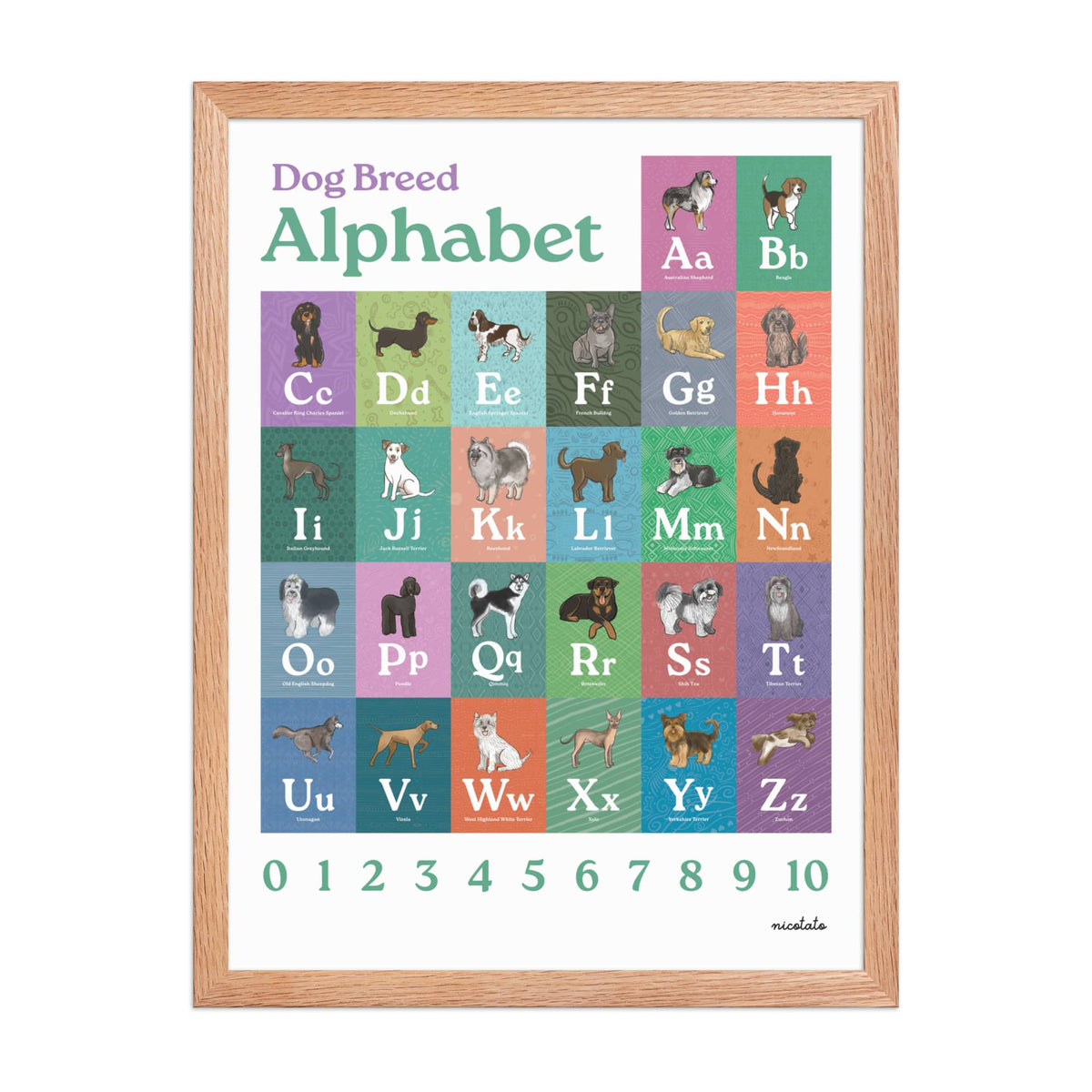 Red Oak / 18″×24″ Dog Breed Alphabet Framed Art Print