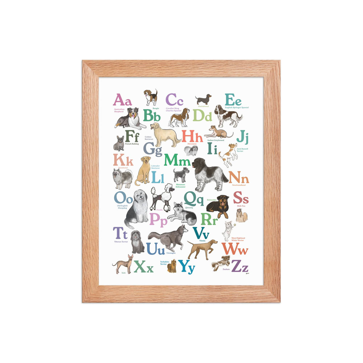 Red Oak / 8″×10″ Dog Breed ABCs Framed Art Print