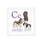 White / 10″×10″ C is for Cavalier Framed Print