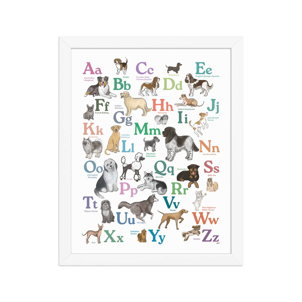 White / 11″×14″ Dog Breed ABCs Framed Art Print