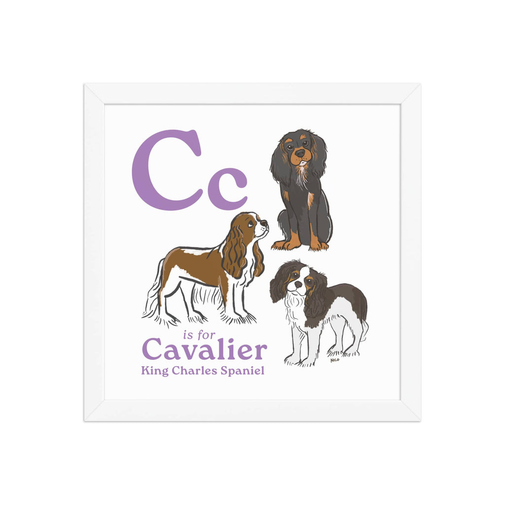 White / 12″×12″ C is for Cavalier Framed Print