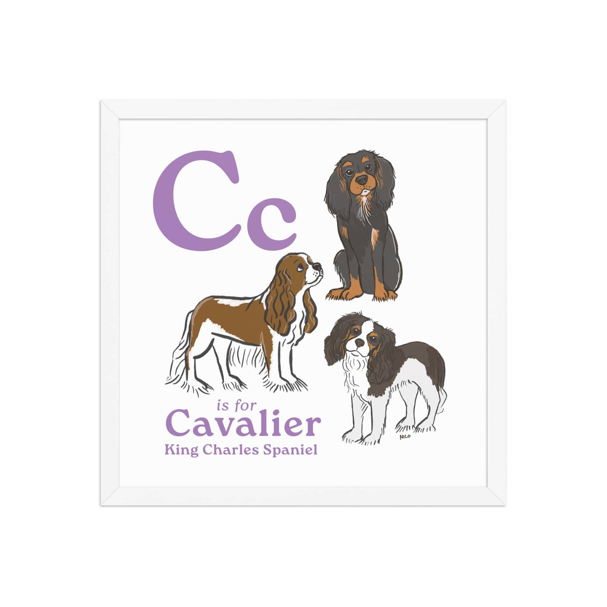 White / 16″×16″ C is for Cavalier Framed Print