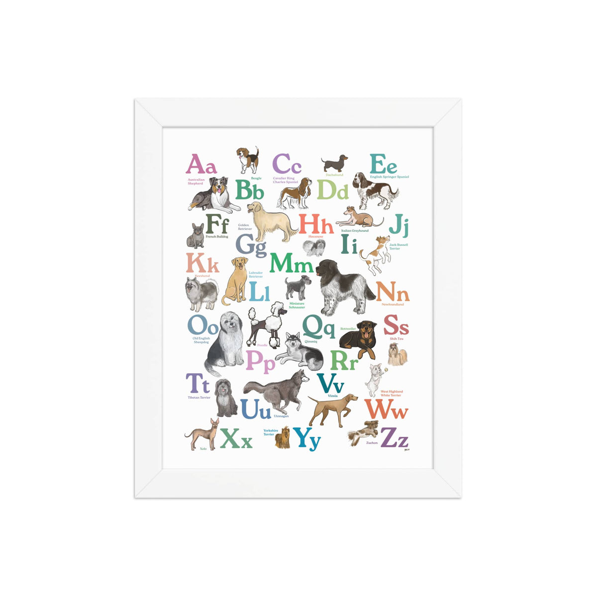 White / 8″×10″ Dog Breed ABCs Framed Art Print